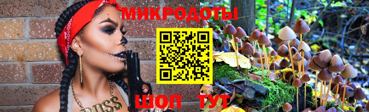 закладка  Псилоцибиновые грибы мухоморы  Вход с VPN  Псилоцибиновые грибы прущие грибы  Урюпинск 